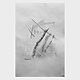 14.11.2024 (3) | Drawing by Bjoern Wiedemann